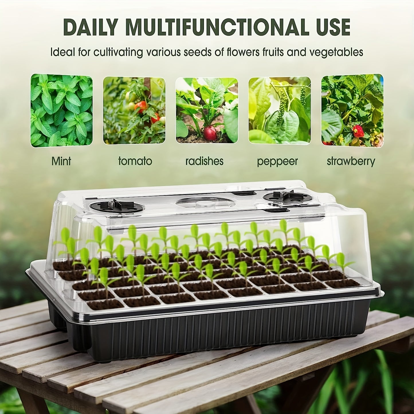 Seed Starter Trays Set with 2 Long Strip Grow Lights – 40-Cell Kit with Humidity Dome for Seed Germination, Seedling Starting, Propagation, and Cloning Plants