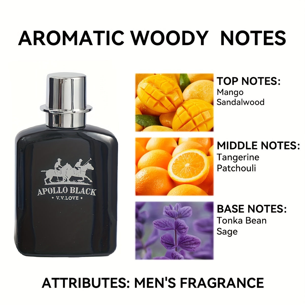 Refreshing Men's Cologne 1.01oz - Citrus, Orange, Sandalwood and Mango Scent, Ideal for Daily Wear and Gifting