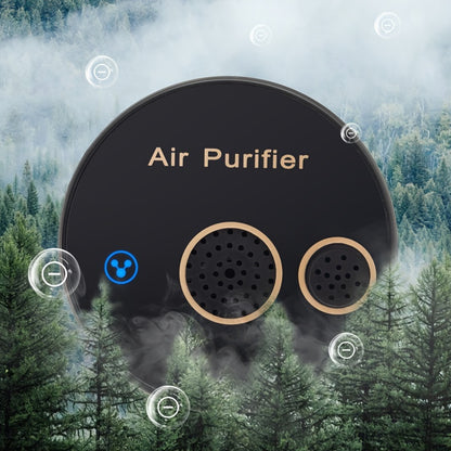 Small Household Air Purifier - Negative Ion Plasma Ozone Device for Removing Second-Hand Smoke, PM2.5 and Allergens