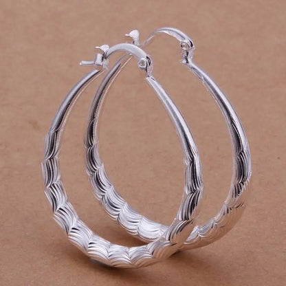 925 Sterling Silver Wedding Hooks: Beautiful High-Quality Earrings for Women - Fashionable Jewelry, Cute Gift Idea