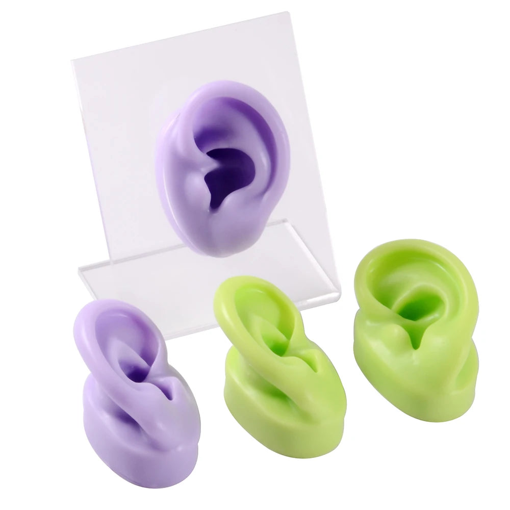 Professional Silicone Ear Model for Piercing Practice - Reusable Earring and Ear Stud Display Tool, Ideal for Body Jewelry Showcasing