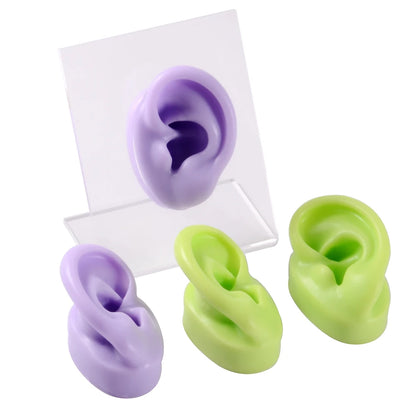 Professional Silicone Ear Model for Piercing Practice - Reusable Earring and Ear Stud Display Tool, Ideal for Body Jewelry Showcasing