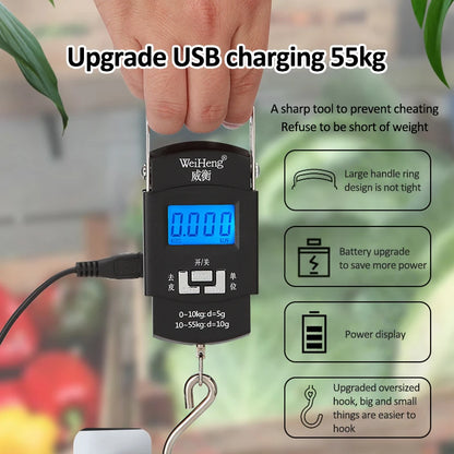 55kg USB Charging Electronic Digital Hanging Hook Travel Scale - Double Precision Luggage Weight Balance for Fishing & Travel