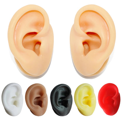 Professional Silicone Ear Model for Piercing Practice - Reusable Earring and Ear Stud Display Tool, Ideal for Body Jewelry Showcasing