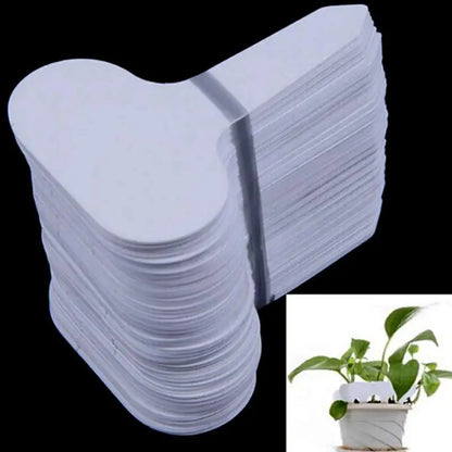 100pcs Colorful Garden Labels: Plant Classification Sign Tags for Sorting and Labeling