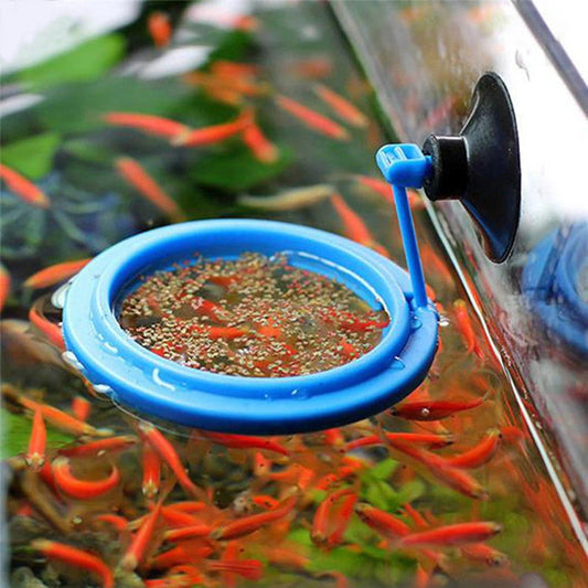 Aquarium Feeding Ring: New Floating Food Tray Station for Fish Tank, Square Circle Accessory with Water Plant Buoyancy Suction