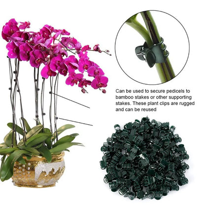 100pcs Garden Plant Clips: Plastic Support for Orchid Stems, Vine, Vegetables, Flowers - Ideal for Tying, Bundling, and Clamping Garden Branches