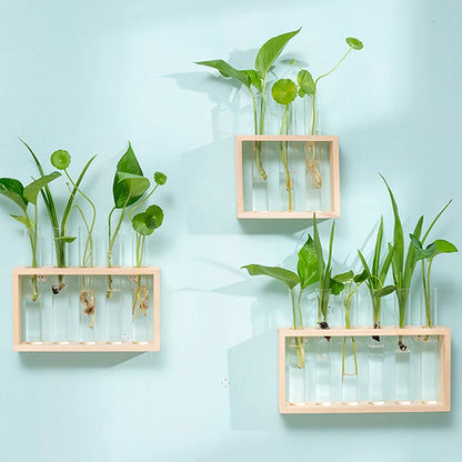 Wooden Frame Hydroponic Plants Container - Transparent Glass Test Tube Vase for Home Tabletop Bonsai Decor - Unique Crafts & Decorations