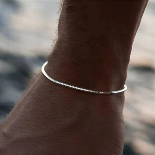 Simple Men's Stainless Steel Square Snake Bone Chain Bracelet - Trendy Hip-Hop Jewelry & Party Accessory for Women