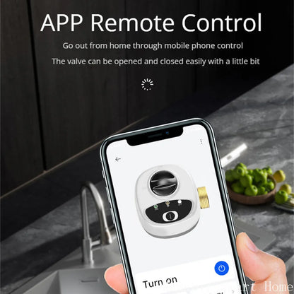 Smart WiFi Water Valve Gas Shutoff: DN15/DN20/DN25, Wireless Control via App, Timer Alarm, Automation Linkage - Alexa Compatible