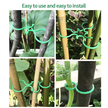 Plastic Garden Vine Strapping Clips - 20/50/100Pcs Plant Bundled Buckle Rings for Tomato, Grapevine, and More - Plants Support Tool