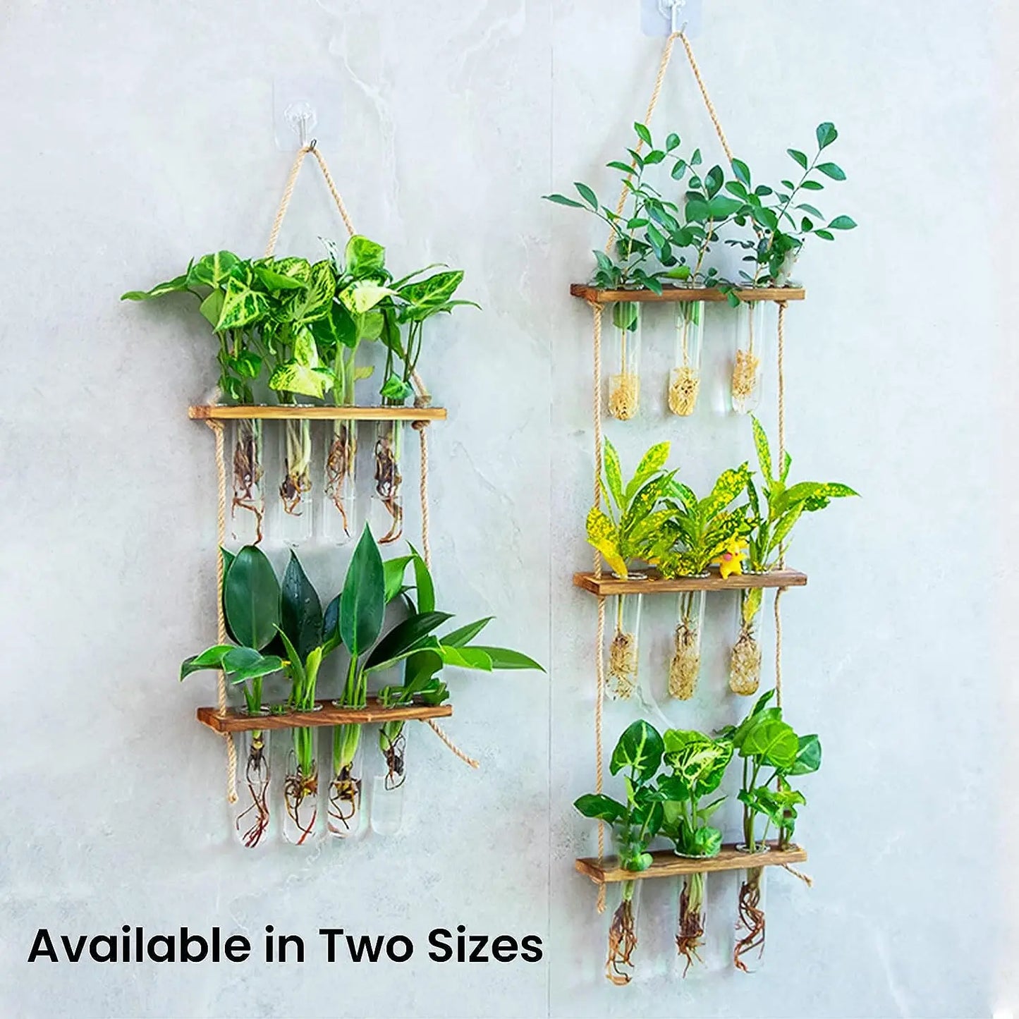 2-Layer Glass Planter Plant Terrarium with Wooden Stand - Wall Hanging Test Tube Vase