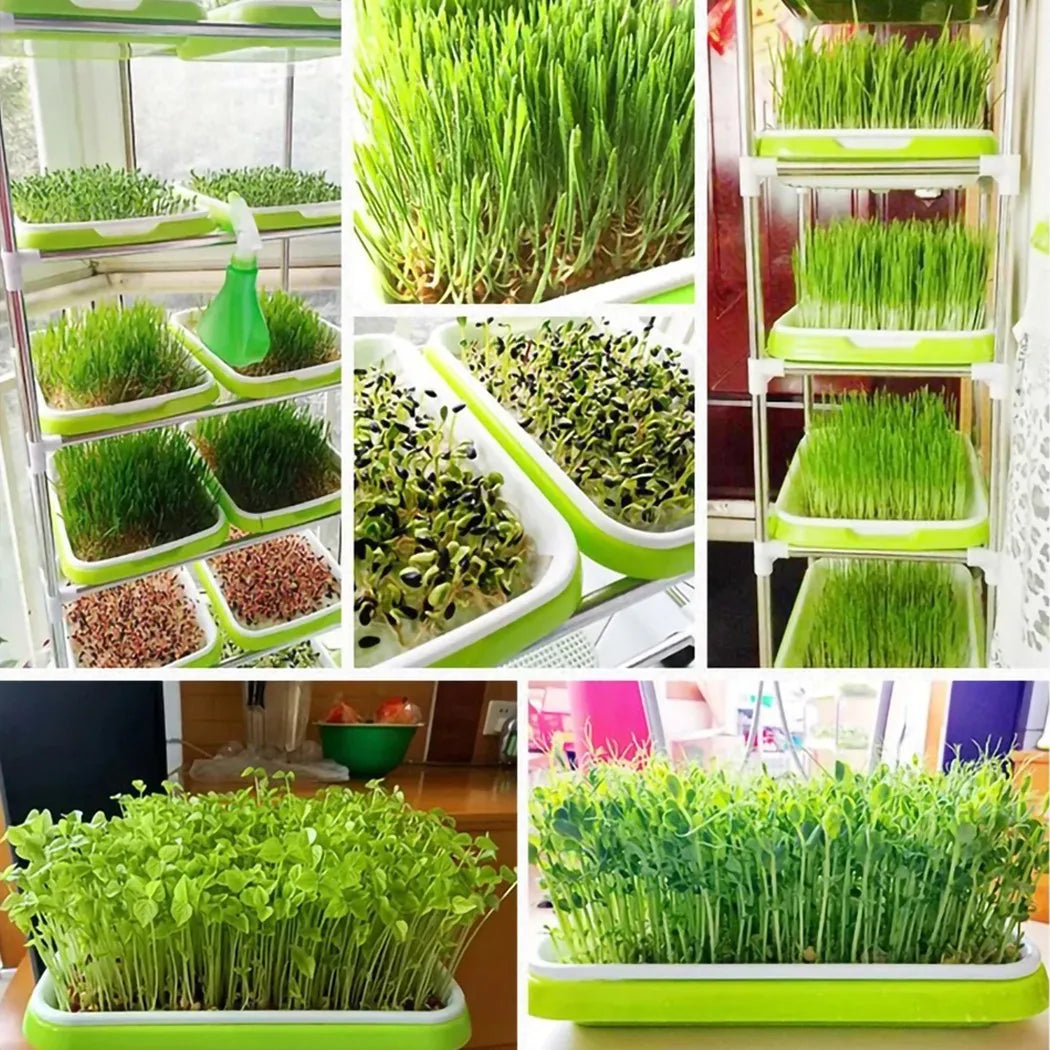 Hydroponic Microgreens Sprouter Tray - Sprouting Tray for Garden Nursery, Horticultural Hydroponic Systems, Potted Plant Growth