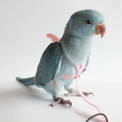 Pet Bird Flying Harness Leash: Outdoor Flight Training Rope for Parrots - Cockatiel, Macaw, Budgie Supplies & Accessories