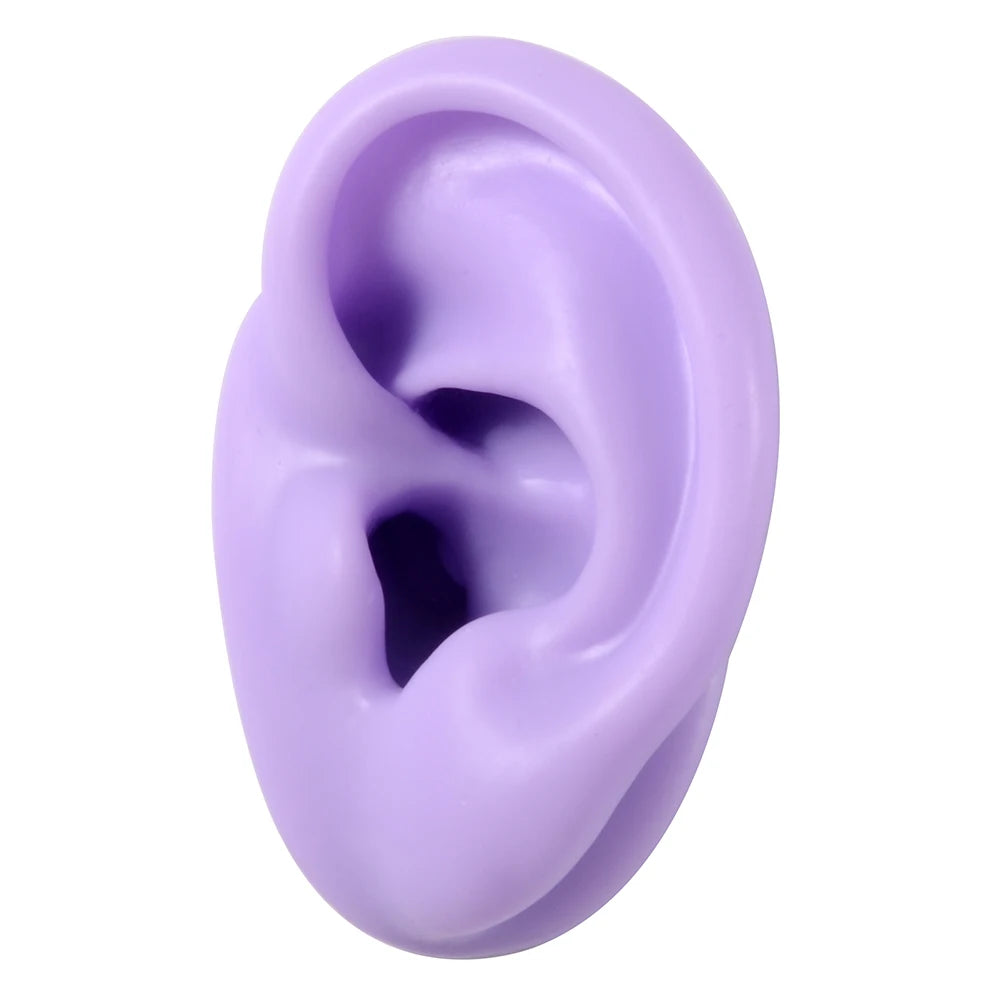 Professional Silicone Ear Model for Piercing Practice - Reusable Earring and Ear Stud Display Tool, Ideal for Body Jewelry Showcasing