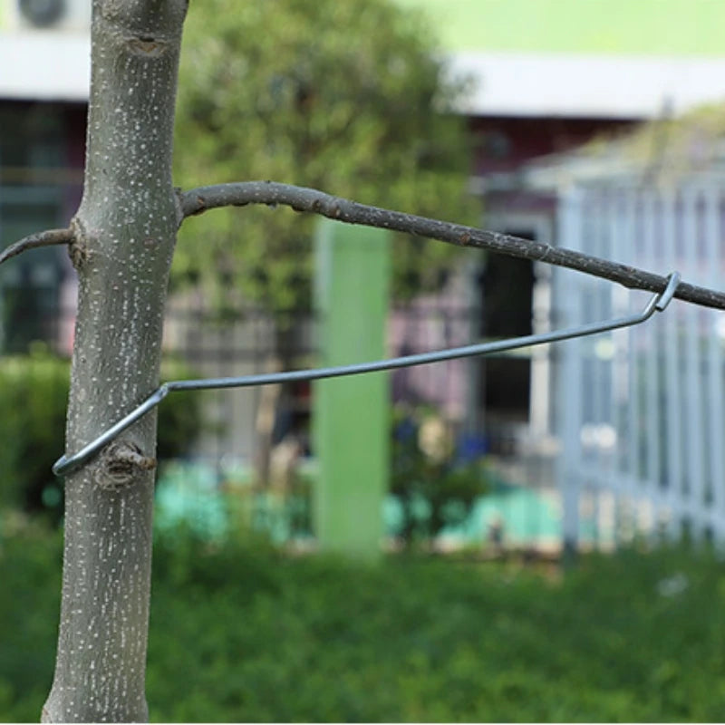 10PCS Fruit Tree Branches Holder - Plant Support Frame for Yard - Fruit Tree Branch Spreader - Branch Fixer