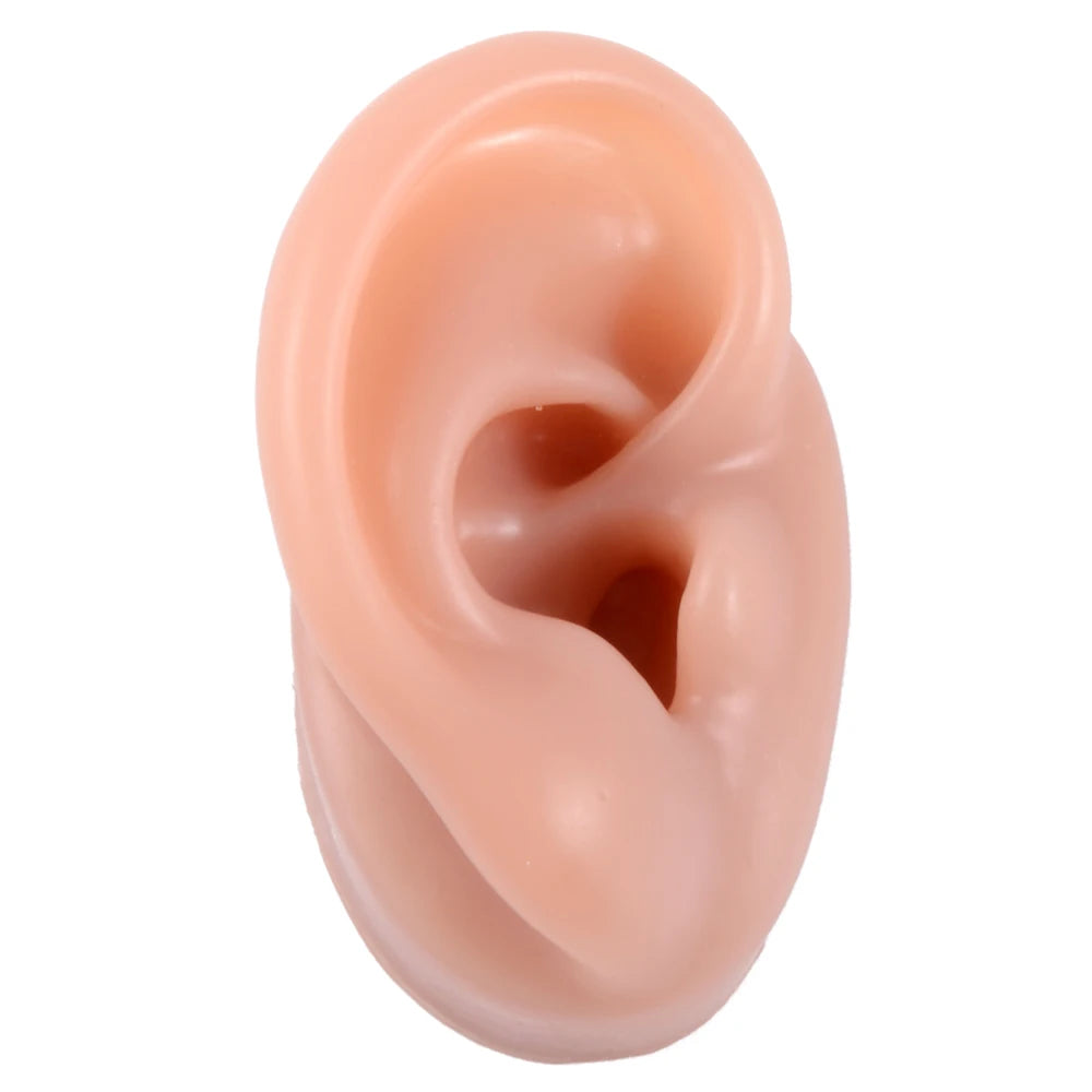 Professional Silicone Ear Model for Piercing Practice - Reusable Earring and Ear Stud Display Tool, Ideal for Body Jewelry Showcasing