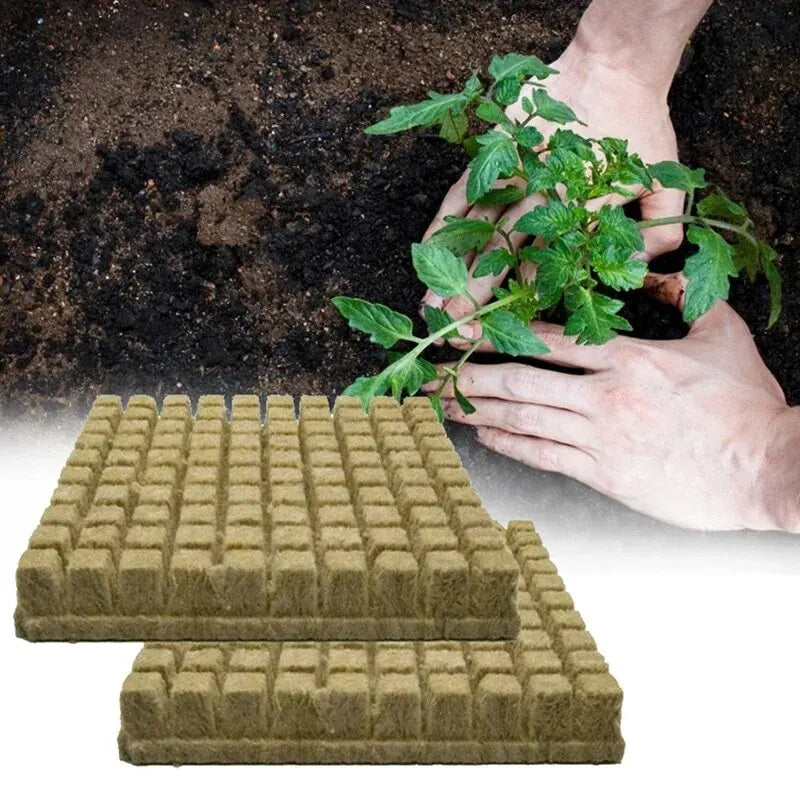 Stonewool Hydroponic Grow Media Cubes: 50pcs 25x25x25mm Plant Cubes for Soilless Substrate - Seeded Rock Wool Plug Seedling Block