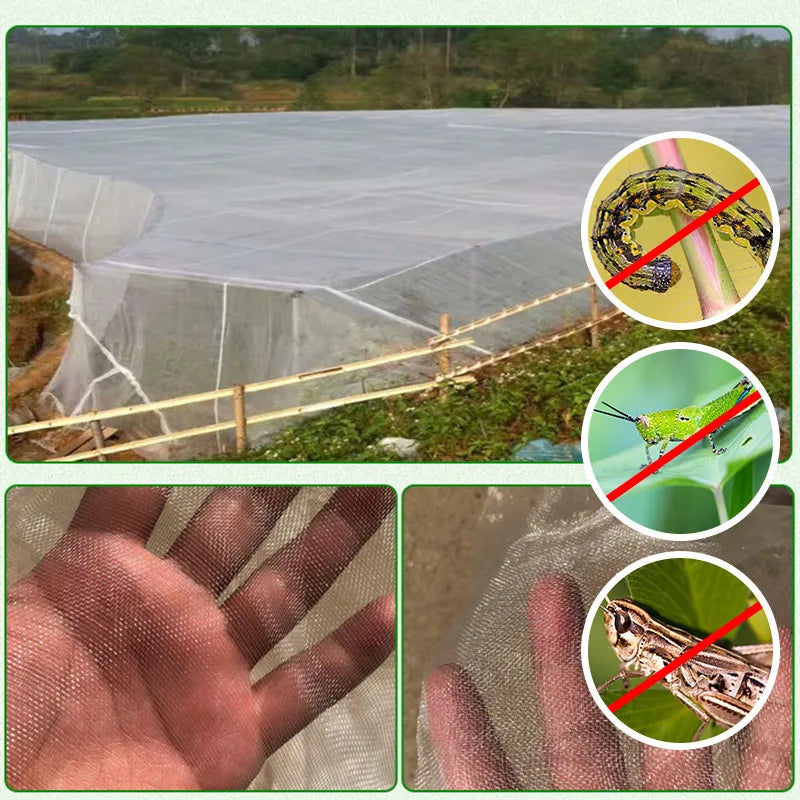 Premium 60 Mesh Insect Protection Net for Garden Vegetables, Flowers & Fruit - Greenhouse & Pest Control Cover - Anti-Bird Care Solution