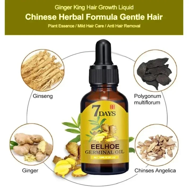 Fast Hair Growth Oil: Ginger Hair Treatment for Men & Women - Anti Hair Loss Scalp Serum, Beauty Health Product