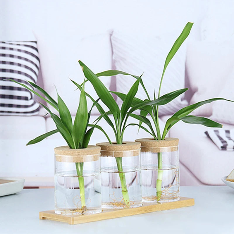 1pc Transparent Hydroponic Flower Pot: Glass Soilless Planting Potted Green Plant - Home Vase Decoration