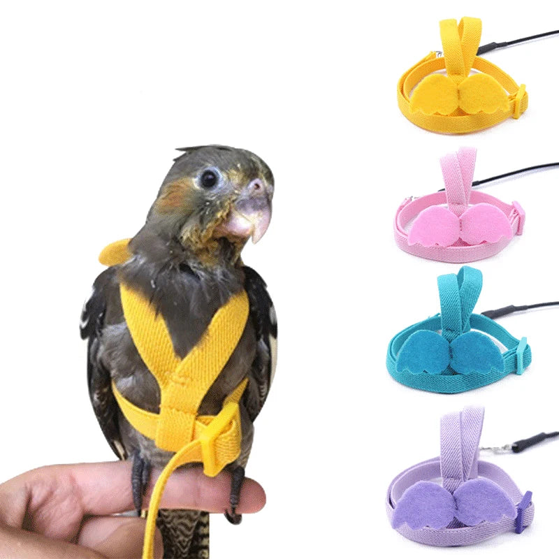 Pet Bird Flying Harness Leash: Outdoor Flight Training Rope for Parrots - Cockatiel, Macaw, Budgie Supplies & Accessories