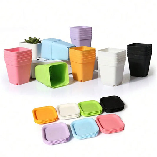 10PCS Mini Gardening Pots Set - Small Square Plastic Pots in Seven Colors, Perfect for Succulents and Seedlings - TMZ Seedling Tray Collection