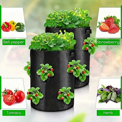 Multi-Mouth Spring Strawberry Growing Bag - 5/7/10Gal Grow Pot for Vegetable Planting - Terrace Garden Solution - Multi-Mouth Container Bags