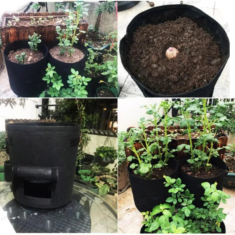 Versatile Felt Plant Grow Bags: Ideal for Greenhouse, Garden, and Vegetable Growing - 3 Sizes Available