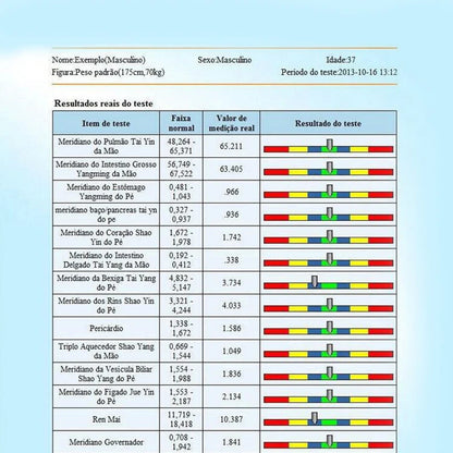 2024 NEW Portable Quantum Body Analyzer - Magnetic Resonance Health Machine with 54 Reports for Comprehensive Health Testing