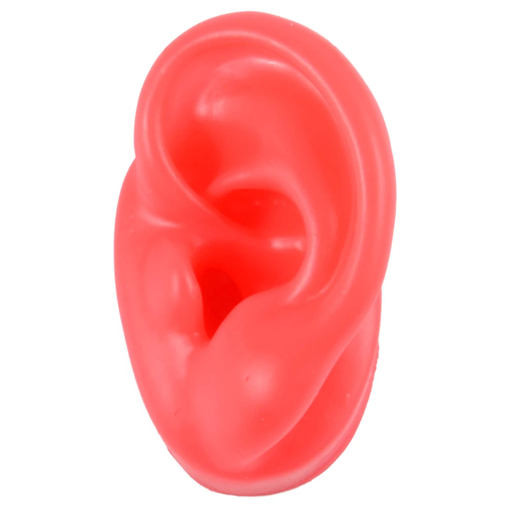 Professional Silicone Ear Model for Piercing Practice - Reusable Earring and Ear Stud Display Tool, Ideal for Body Jewelry Showcasing