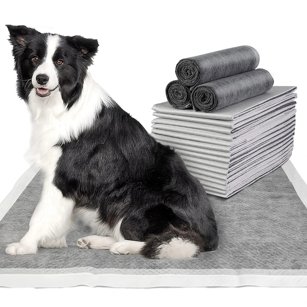 100-20 Pack Disposable Dog Diapers and Training Pads – Quick Dry with Bamboo Charcoal Surface for Absorbency and Cleanliness