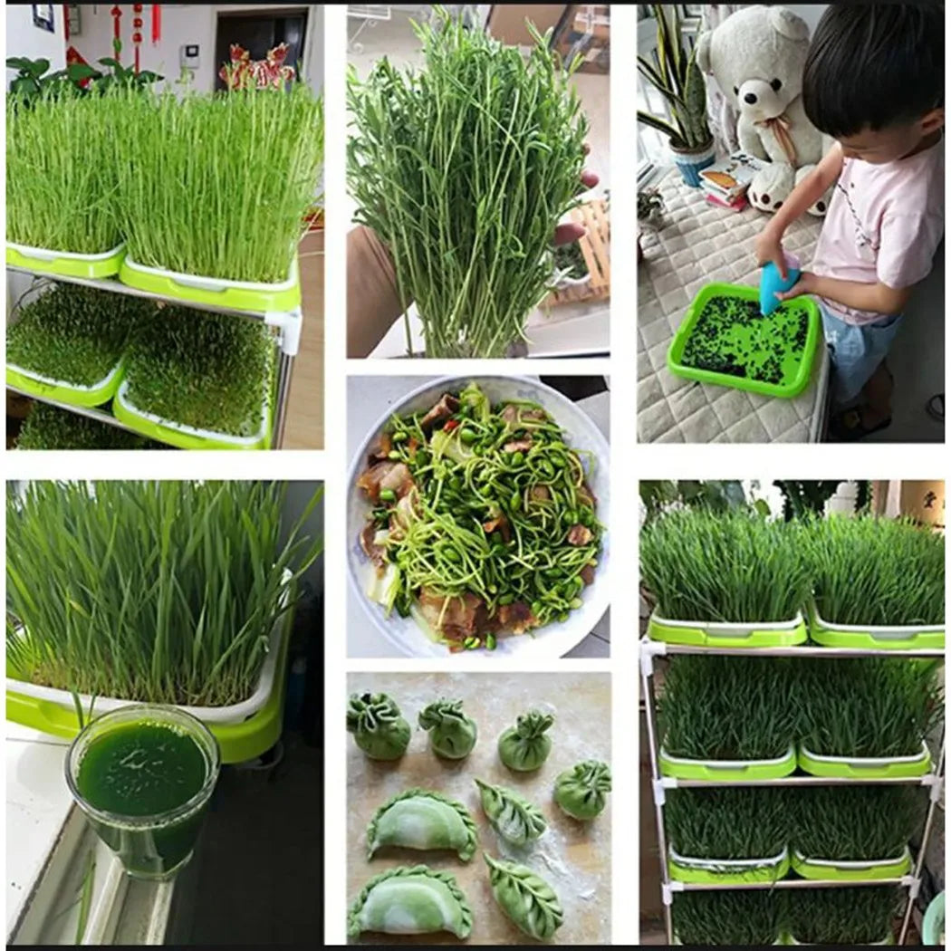 Hydroponic Microgreens Sprouter Tray - Sprouting Tray for Garden Nursery, Horticultural Hydroponic Systems, Potted Plant Growth