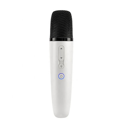 Puremic Wireless Microphone with Receiver - Compatible with Huawei, Xiaomi Vision, and BYD Cars - Original Sale Offer