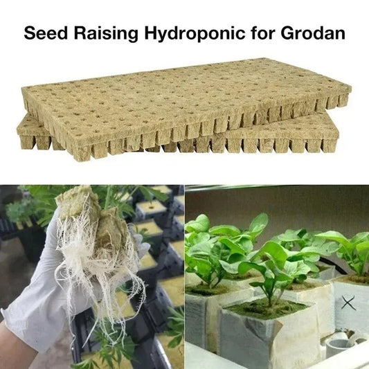 Stonewool Hydroponic Grow Media Cubes: 50pcs 25x25x25mm Plant Cubes for Soilless Substrate - Seeded Rock Wool Plug Seedling Block