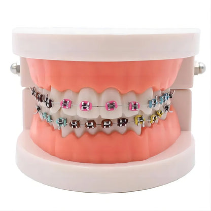 PIORPOY 1040PCS Orthodontic Elastic Ligature Ties | 40 Sticks | Colorful Bands for Brackets Braces | Dental Products & Tools