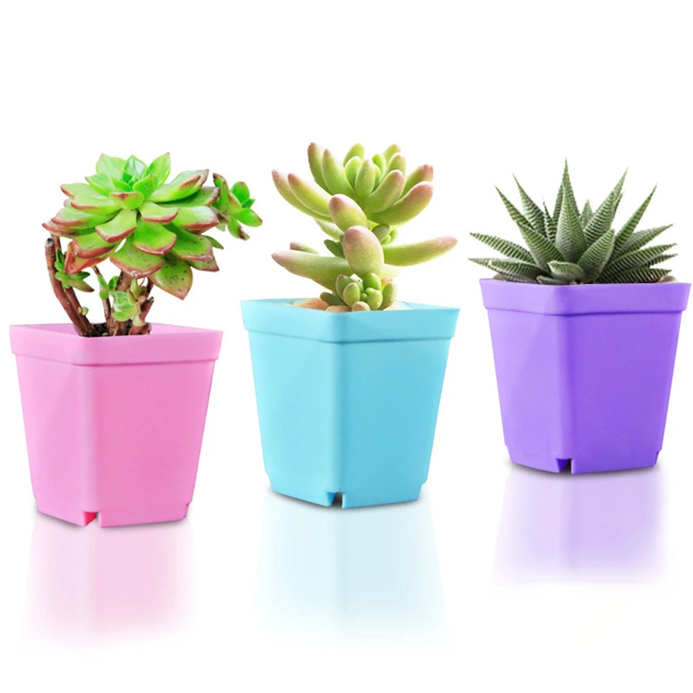 10PCS Mini Square Gardening Pots - Small Black Plastic Flower and Succulent Pots - Seedling Tray Containers