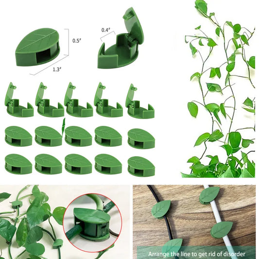 Versatile Plant Wall Fixture and Bracket - Secure Your Rattan Vines with Leaf Clips and Traction Holder for Gardens