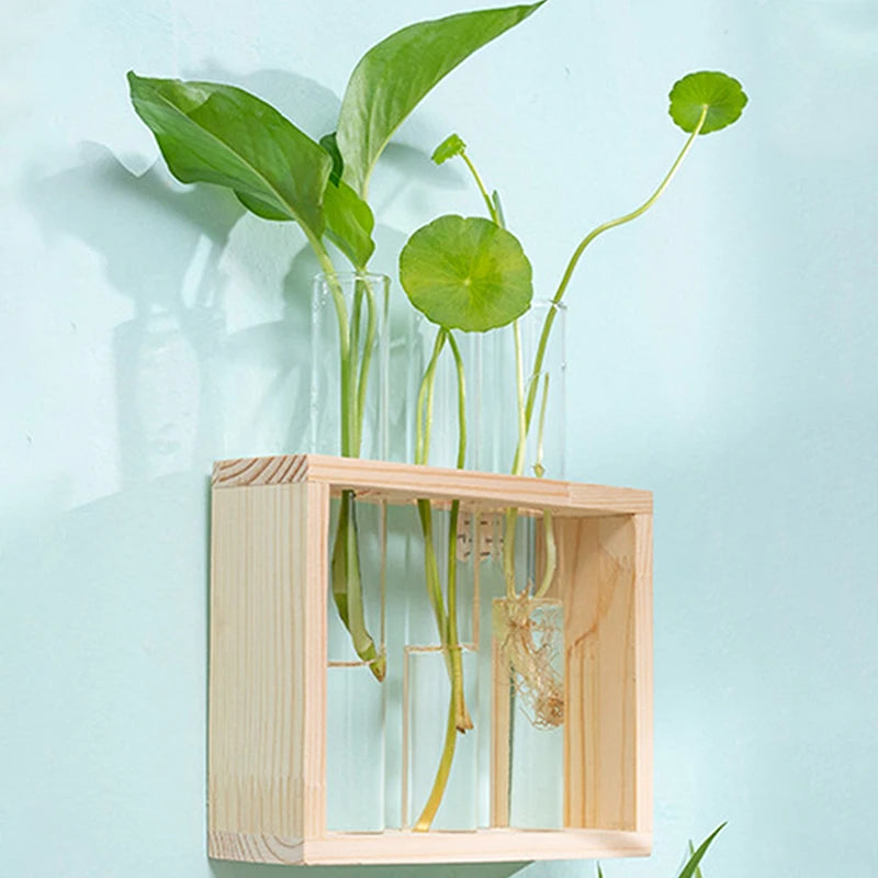 Wooden Frame Hydroponic Plants Container - Transparent Glass Test Tube Vase for Home Tabletop Bonsai Decor - Unique Crafts & Decorations