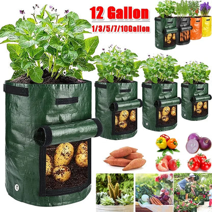 Potato Grow Bags – PE Vegetable Planter, DIY Fabric Grow Pot for Outdoor Garden, Available in 1-12 Gallon Sizes