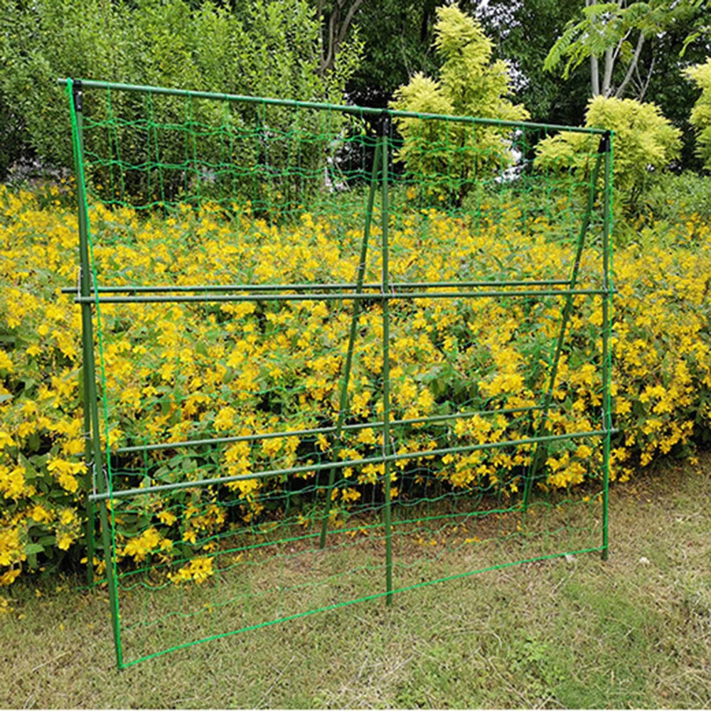 High-Quality Nylon Garden Netting - Support for Loofah, Morning Glory, and Vine Plants - Climbing Net for Cucumber Vines - Grow Holder Brackets