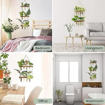 2-Layer Glass Planter Plant Terrarium with Wooden Stand - Wall Hanging Test Tube Vase