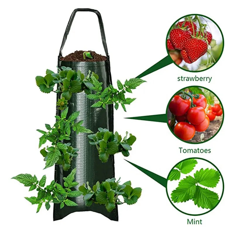 6-Hole Hanging Planting Bag | Plant Growth Nutrition Pot | PE Woven Bag for Hanging Plant Growth