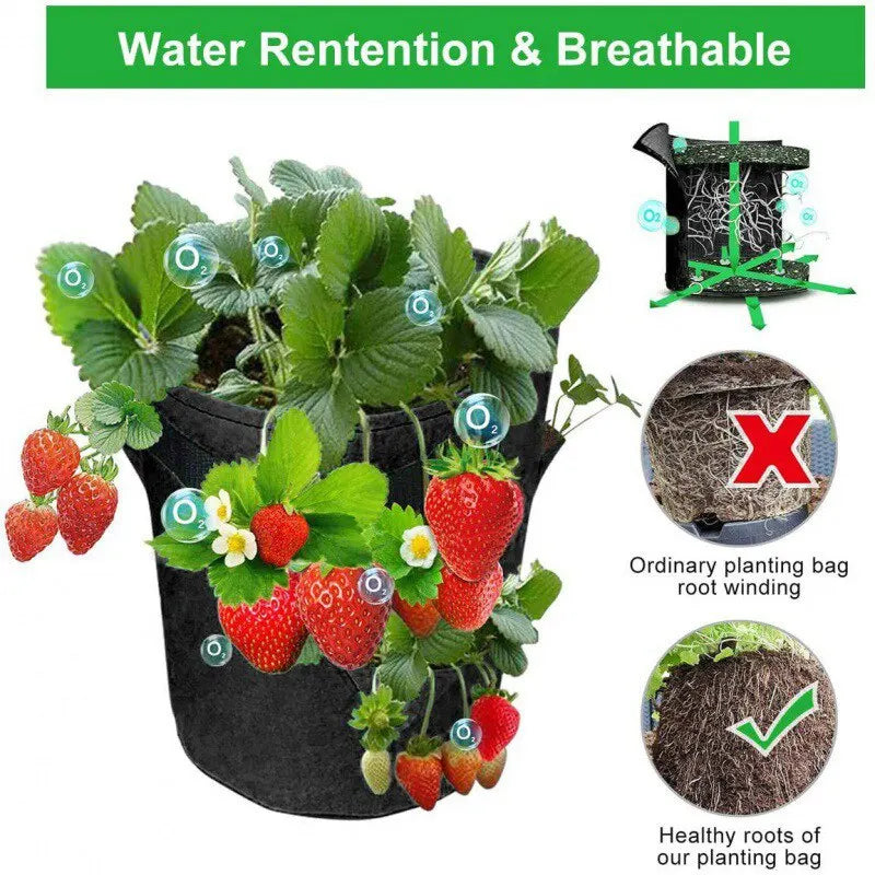 Multi-Mouth Spring Strawberry Growing Bag - 5/7/10Gal Grow Pot for Vegetable Planting - Terrace Garden Solution - Multi-Mouth Container Bags