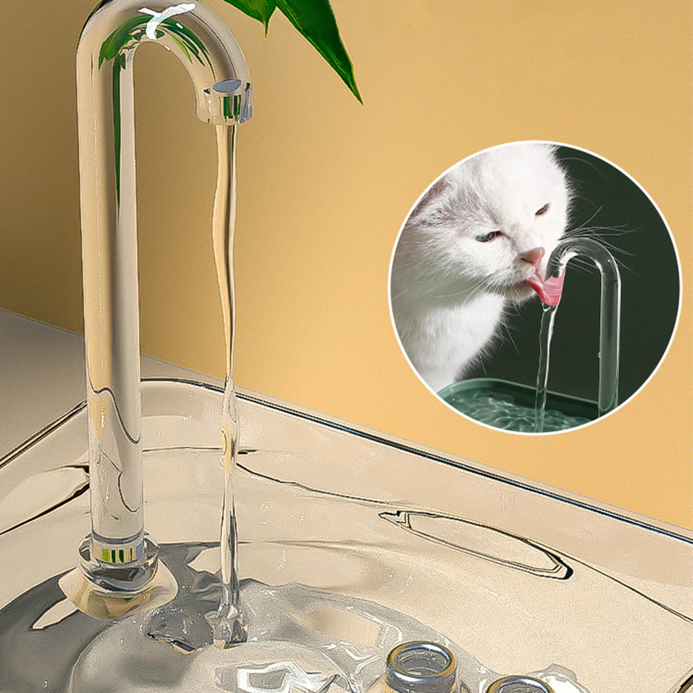 Auto Filter Cat Water Fountain - Transparent Electric Drinker with USB, Mute Recirculate Filtering, Water Dispenser for Cats