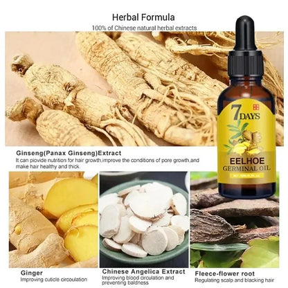 Fast Hair Growth Oil: Ginger Hair Treatment for Men & Women - Anti Hair Loss Scalp Serum, Beauty Health Product