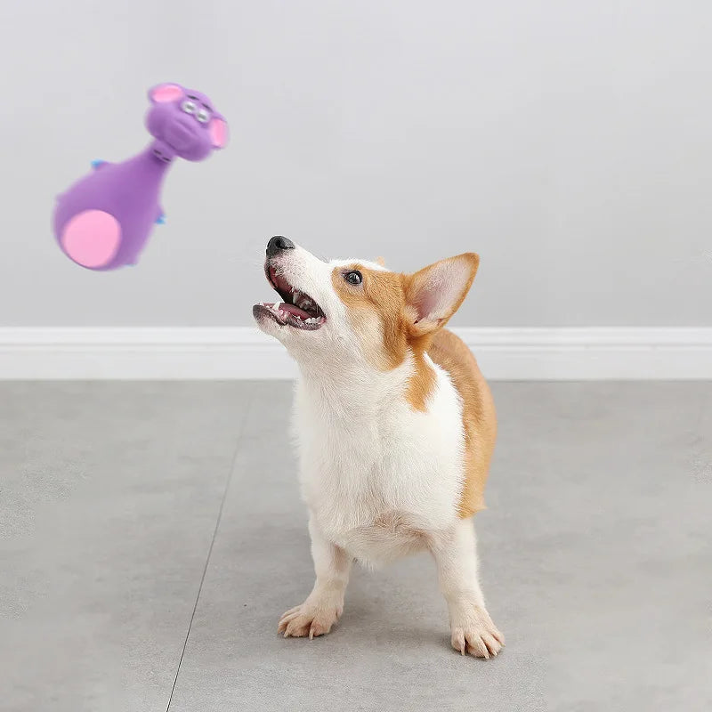 Soft Rubber Chewy Toys - Four Styles, Squeaky Interactive Throwing Games, Cute and Fun for Small and Medium-Sized Dogs