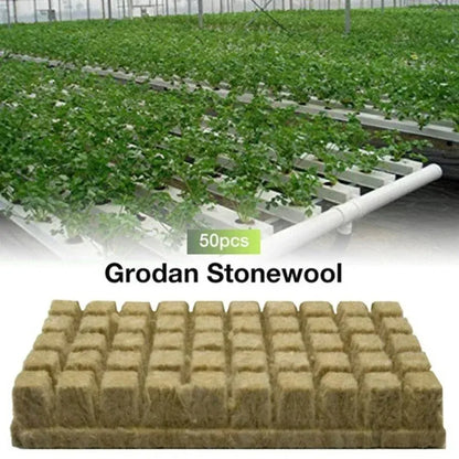 Stonewool Hydroponic Grow Media Cubes: 50pcs 25x25x25mm Plant Cubes for Soilless Substrate - Seeded Rock Wool Plug Seedling Block