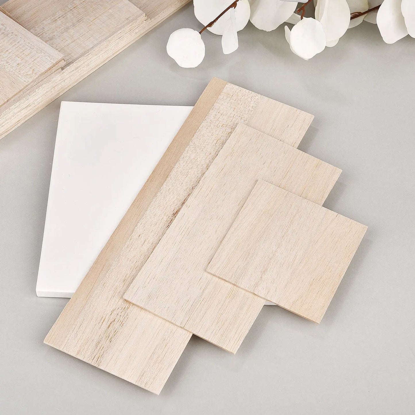 5 Pcs Balsa Wood Sheets Ply - 100/200/300mm Long, 100mm Wide - 1/1.5/2/3mm Thick - for Craft DIY Projects - Wood Craft Accessories