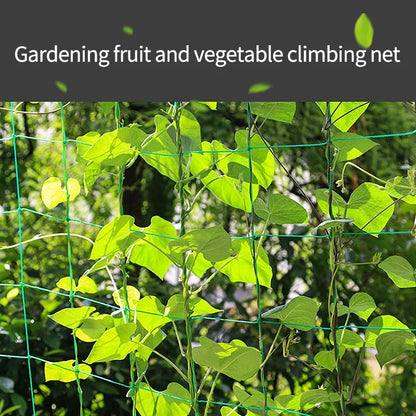 Durable Nylon Garden Climbing Netting for Strong Plant Trellis - Ideal for Loofah, Morning Glory, Flowers, and Cucumber Vine